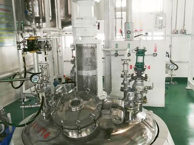 Stainless steel reaction kettle 2